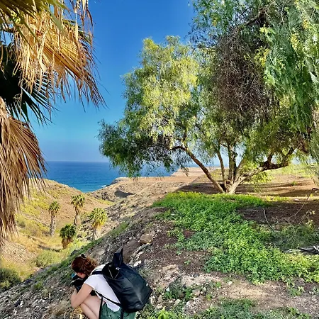 Black Loft * 特尔德