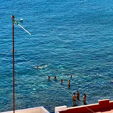 Black Loft 特尔德