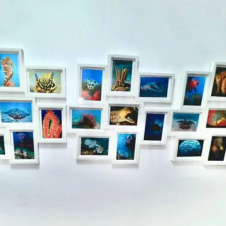 Black Loft 아파트