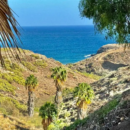 Black Loft Lejlighed *