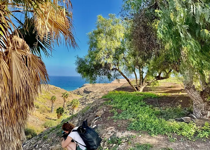 Black Loft * Тельде