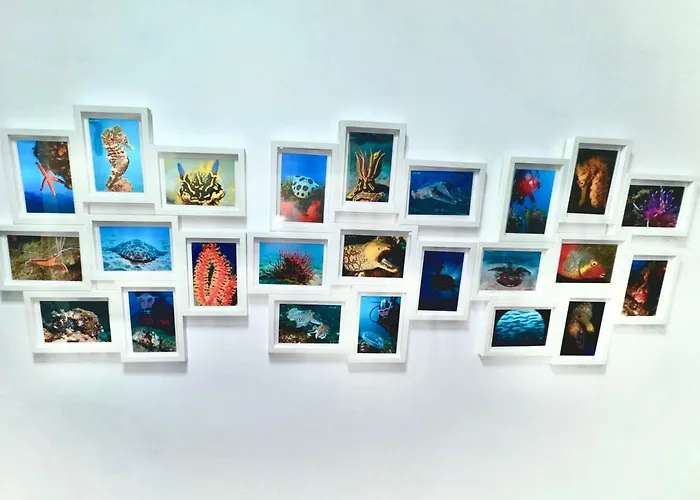 Black Loft Апартаменты