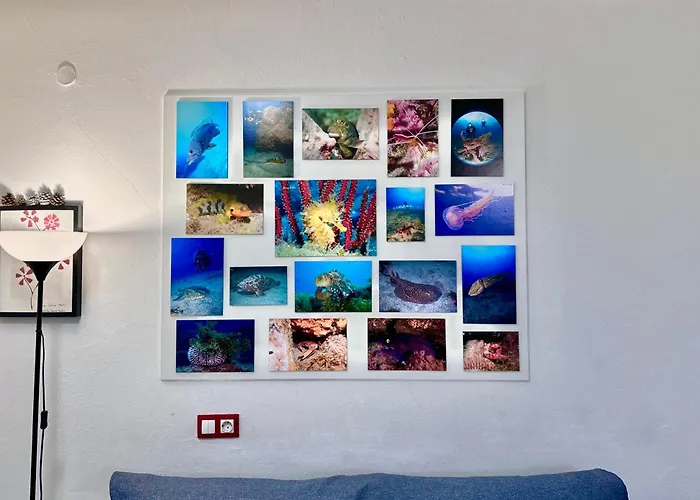 Апартаменты Black Loft